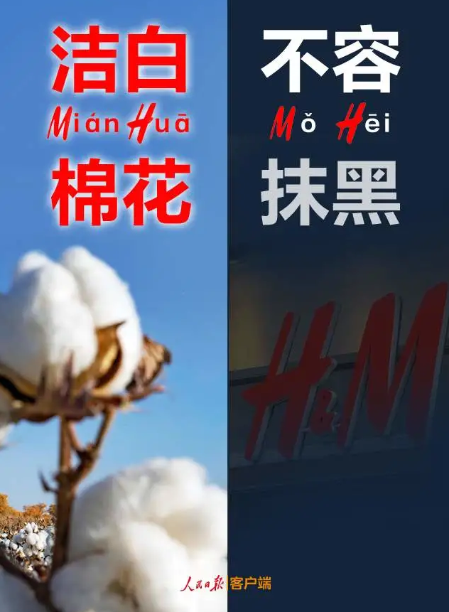 潔白棉花,不容抹黑,花榮華與華一起